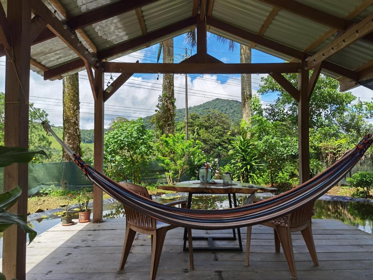 Greenhouse Loft Miravalles Aguas Claras  외부 사진